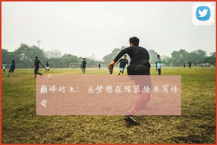 巅峰对决：当梦想在绿茵场书写传奇